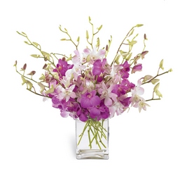 Exquisite Exotics Bouquet from Visser's Florist and Greenhouses in Anaheim, CA